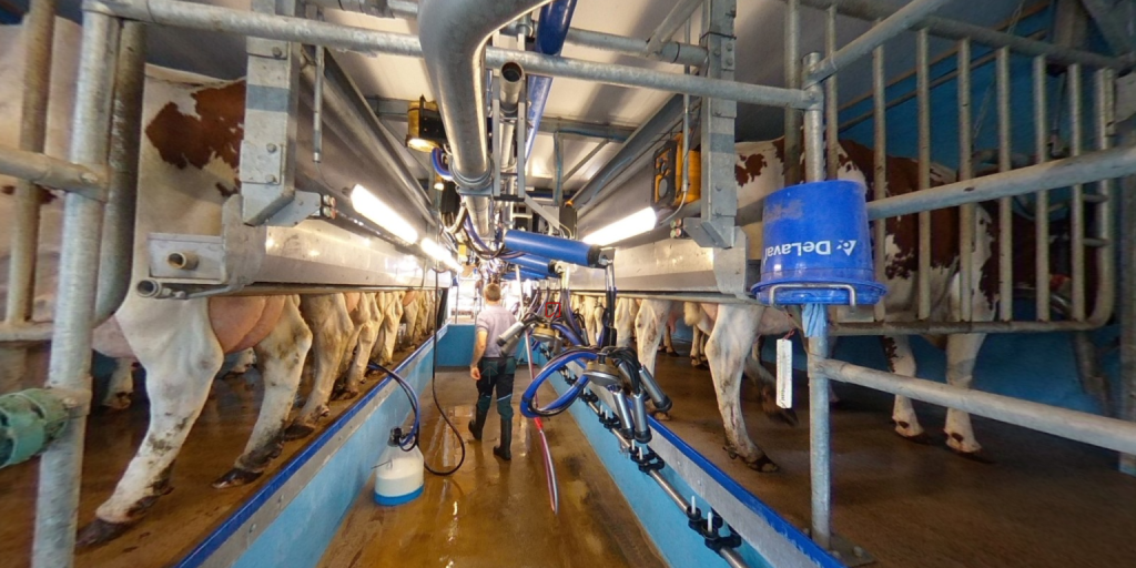 DeLaval ICE 711 Parallel Parlour - evryplace.com